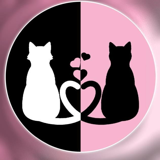 Cute Black&Pink cat Pfp ♡♥︎♡♥︎