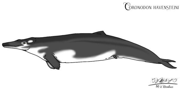 Coronodon havensteini