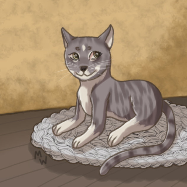 Irina’s Cat 💛