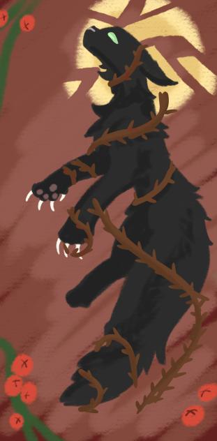 Остролистая_Hollyleaf