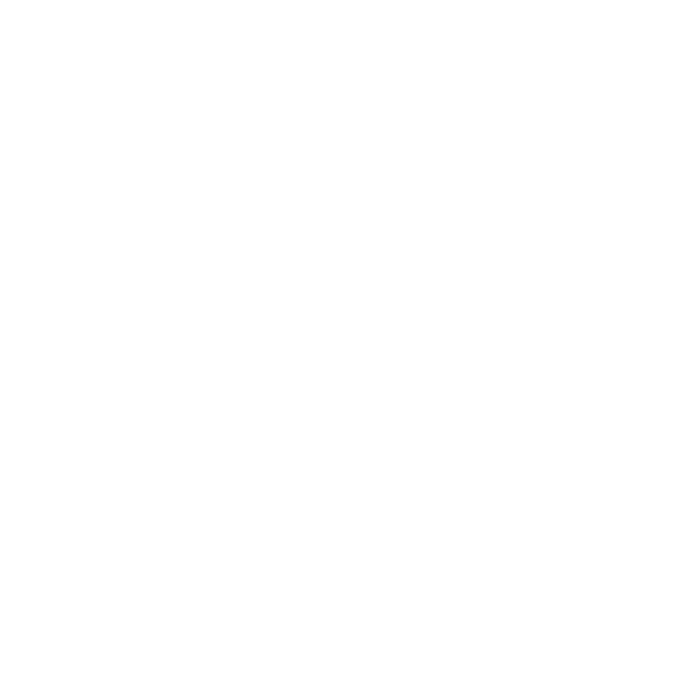 IBM1619 Cross lace
