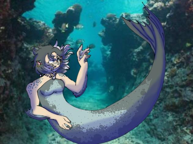Selkie 🦭
