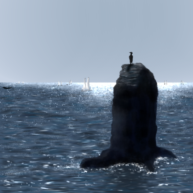 海と鳥