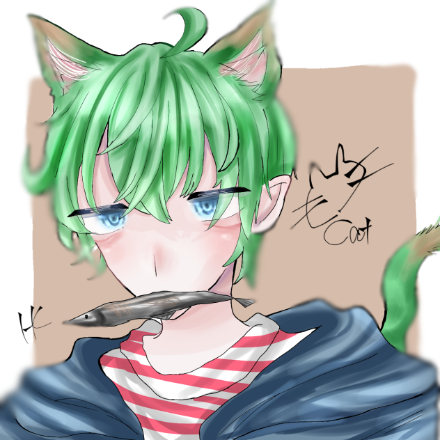 ねこのひー