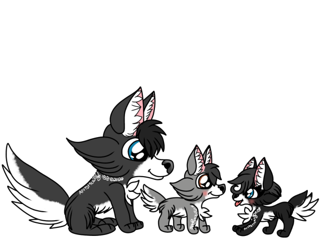 Husky Dad And His Pups