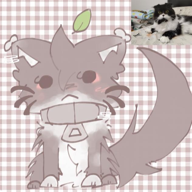 ^•°Drawing my cat!!°•^ ;D (°•~Cici~•°)