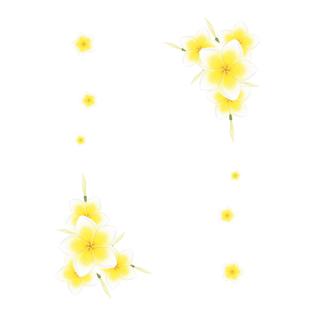 White Plumeria Frame