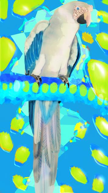 Gojo bird