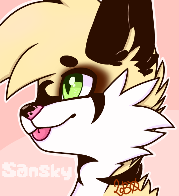 Sansky icon