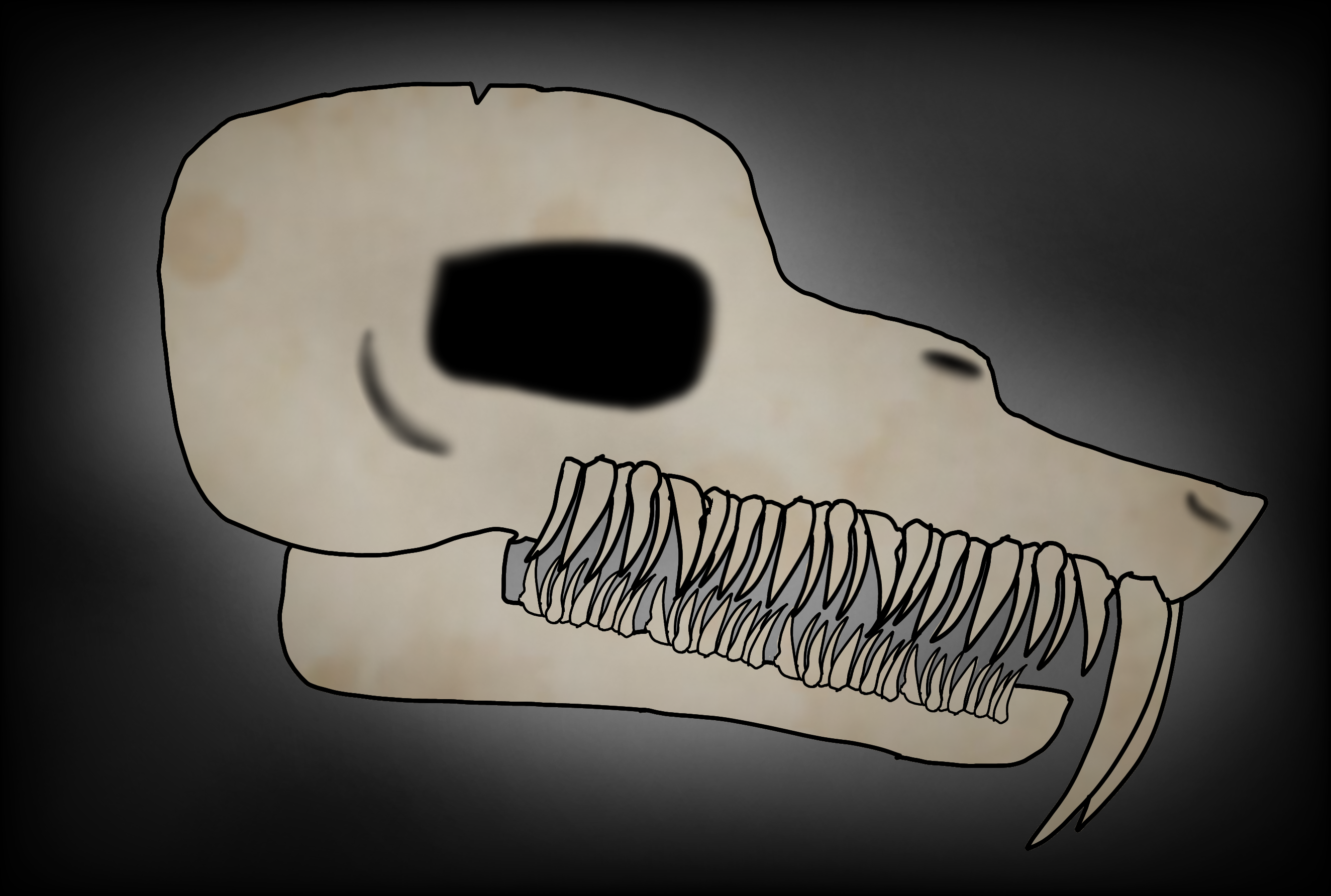 Skull - ibisPaint