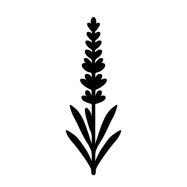 Lavender silhouette