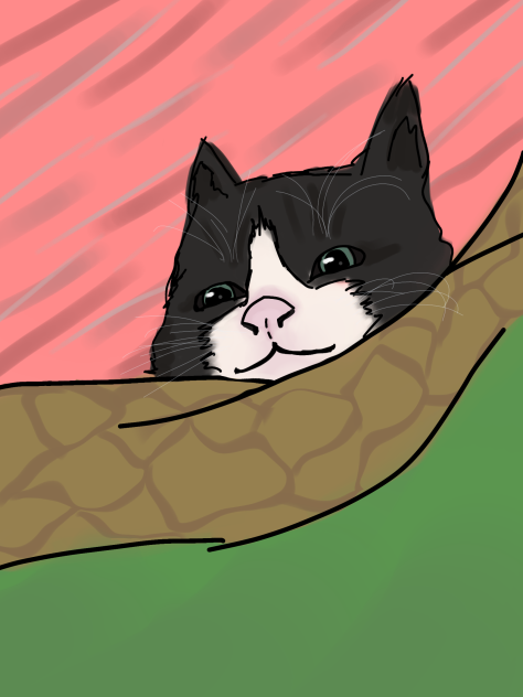 Zoro the Kitten Sketch