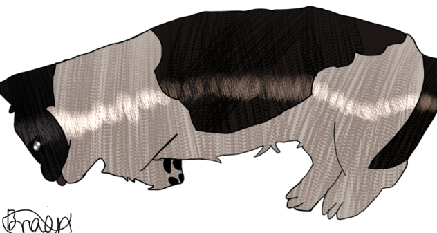 my pet - ibisPaint