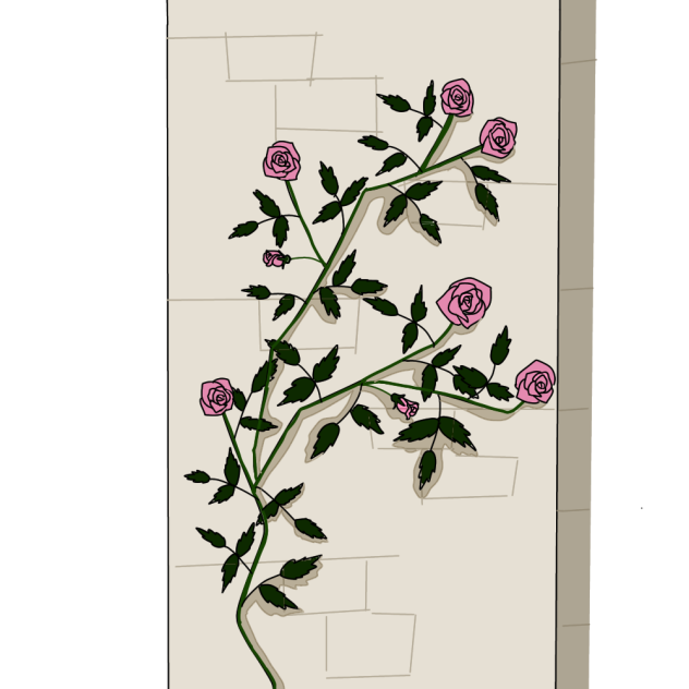 薔薇の壁