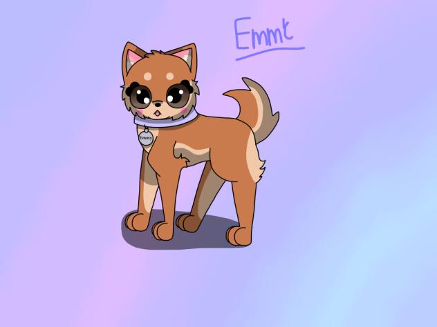 Emmy, Shiba Inu, my Dream Doggo.