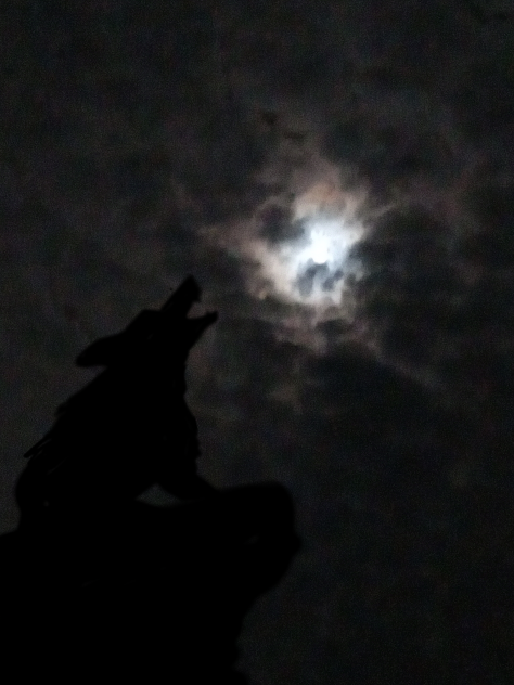moon light - ibisPaint