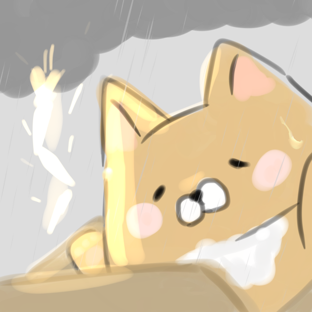 雨の日のワンちゃん