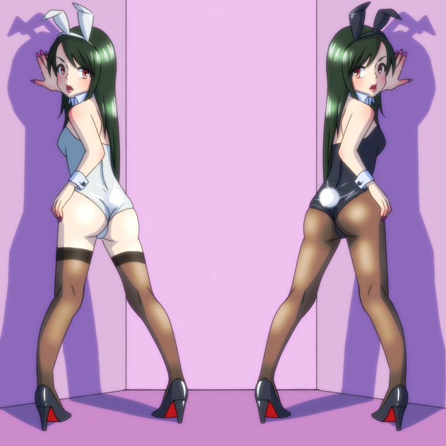 白ウサギと黒ウサギ