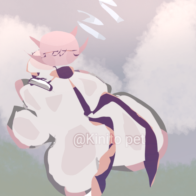 Kinito pet