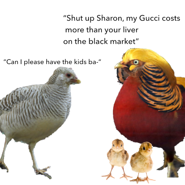 Sharon