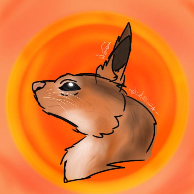 squirrel pfp