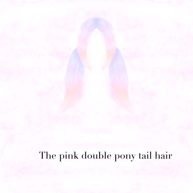The double pony tail hair