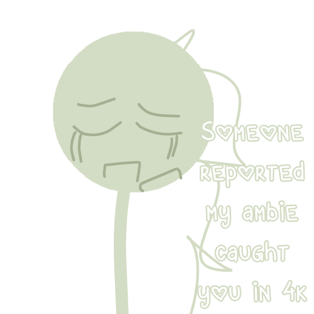 WHAT THE HELL WAS THAT FOR