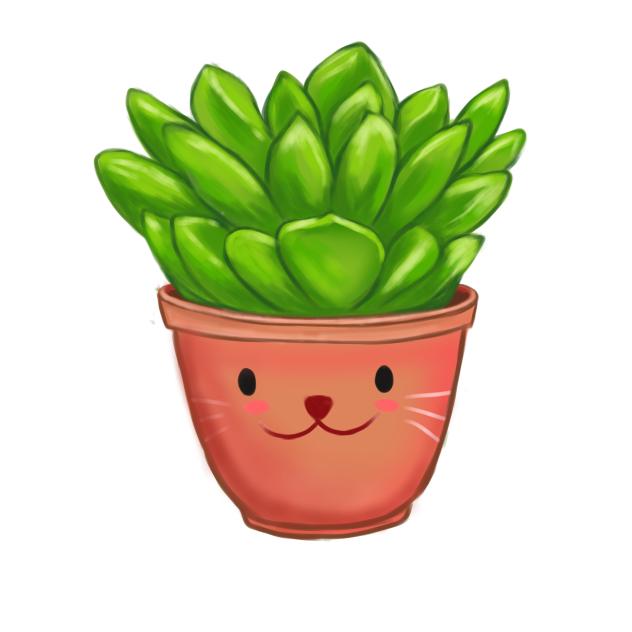 Cute Succulent