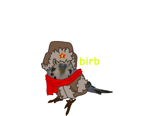 Comrade birb