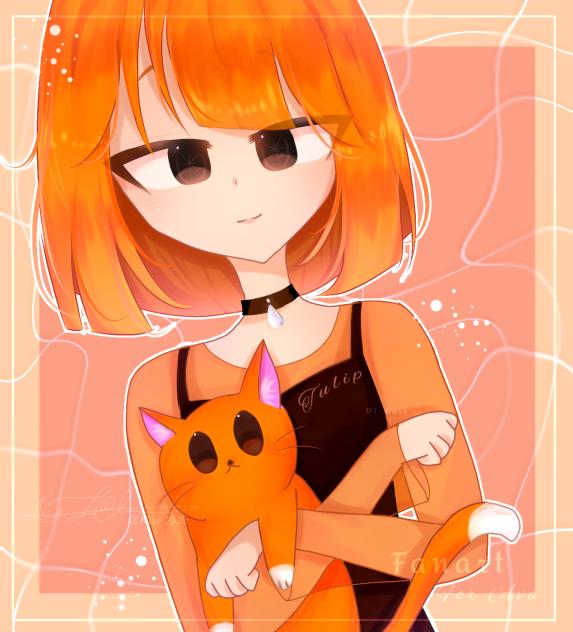 🔸An orange Tulip..🔸