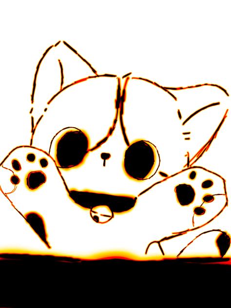 Cute cat