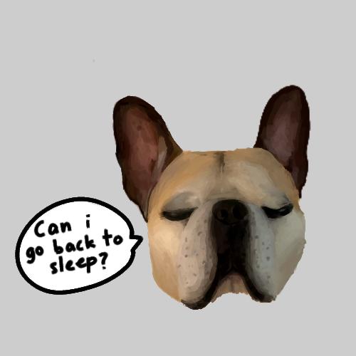 sleepy🐶