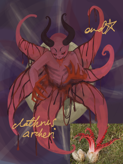 funguary; clathrus archeri