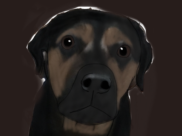 My Doge