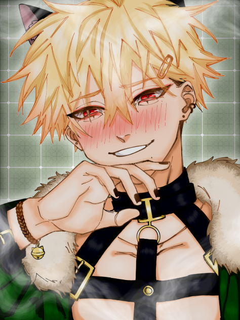 ニャーニャー 😼😻