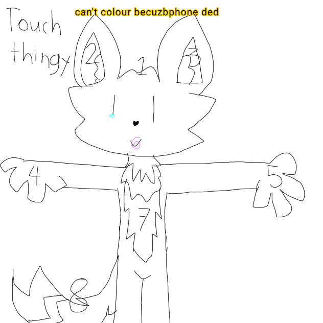 touch thingyyy