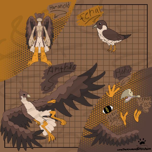 Acima Justice (HawkXFalcon)