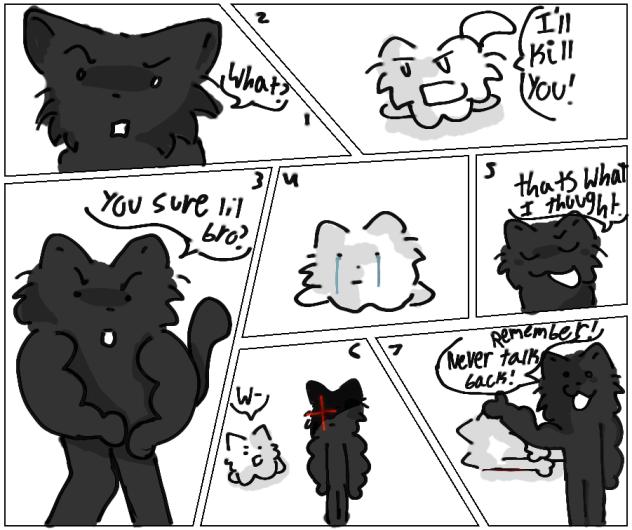 3 silly cat