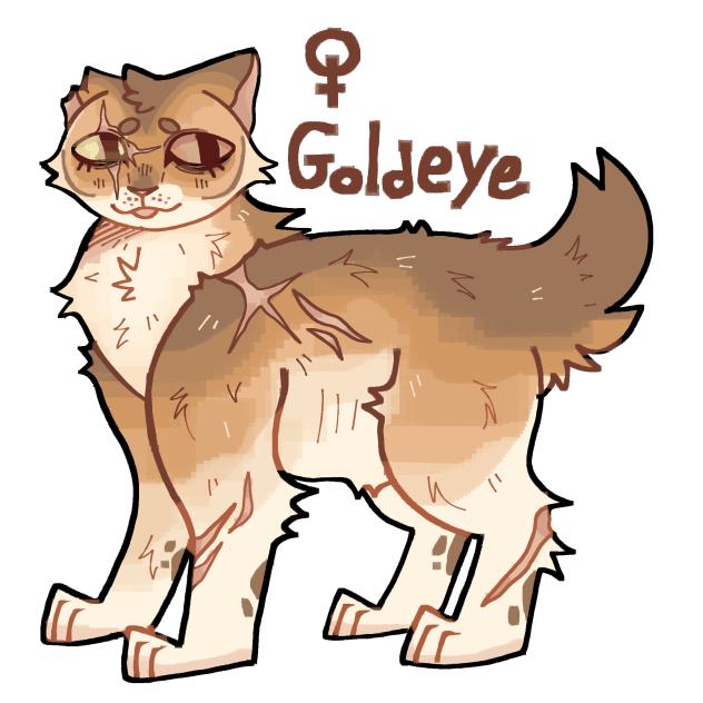 GoldEye for sh4rk0 ^^