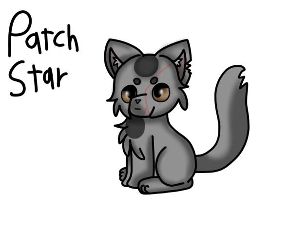 Warrior Cats. PatchStar.