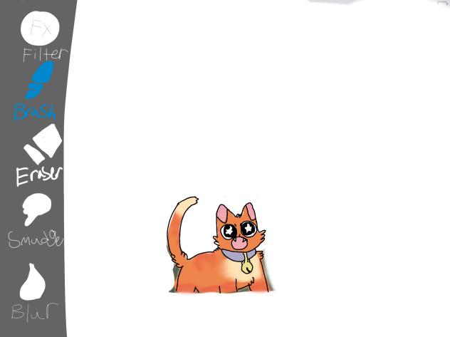 lol catito (￣∀￣)