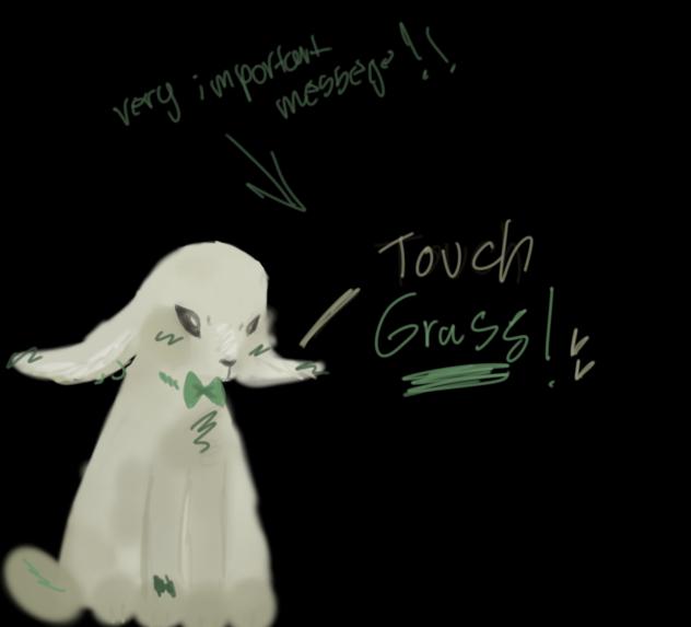 TOUCH GRASS