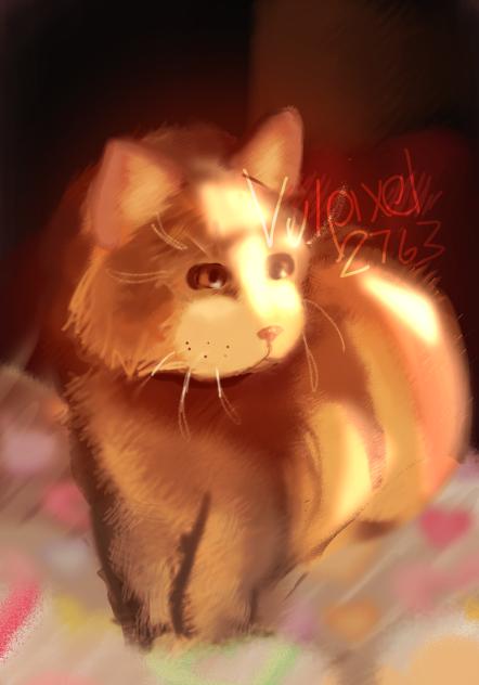 kiggy