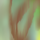 A tree for enough the northern lights