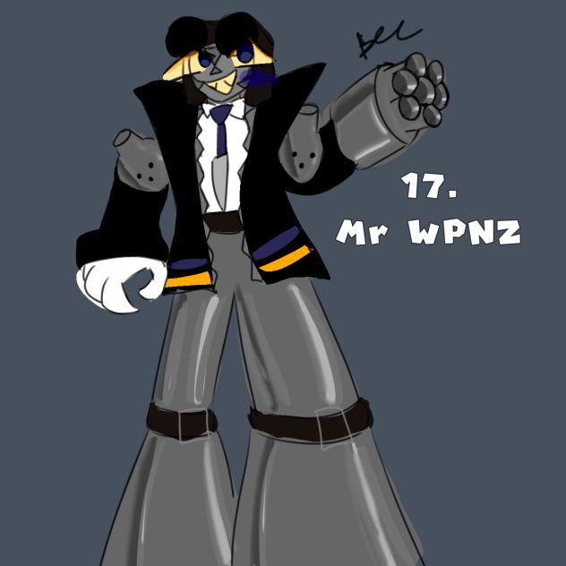 17. Mr WPNZ