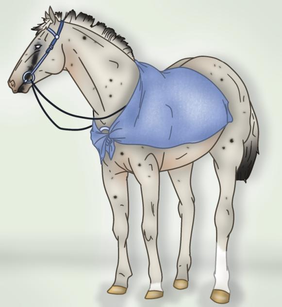 i like the horse, but not the background