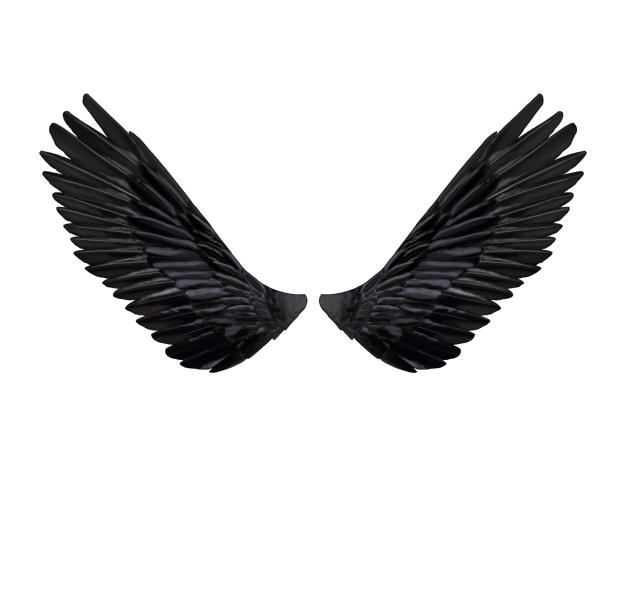 Black wings