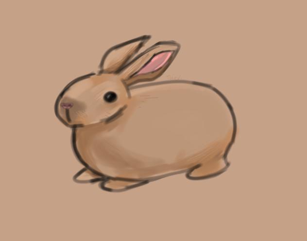 rabbit loaf