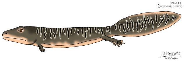 Crassigyrinus scoticus