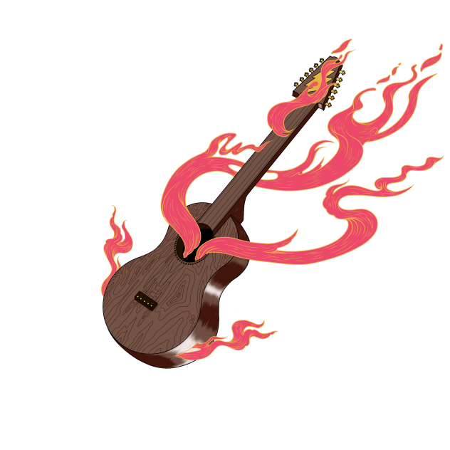 Live concert guitar.